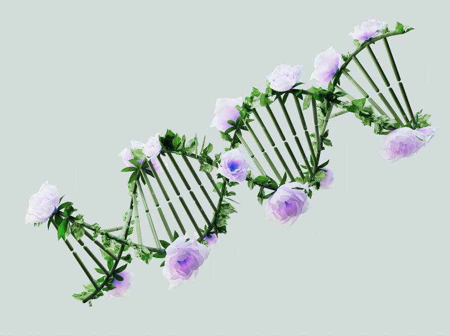 A creative representation of a DNA helix with blooming pastel roses, blending nature and science.